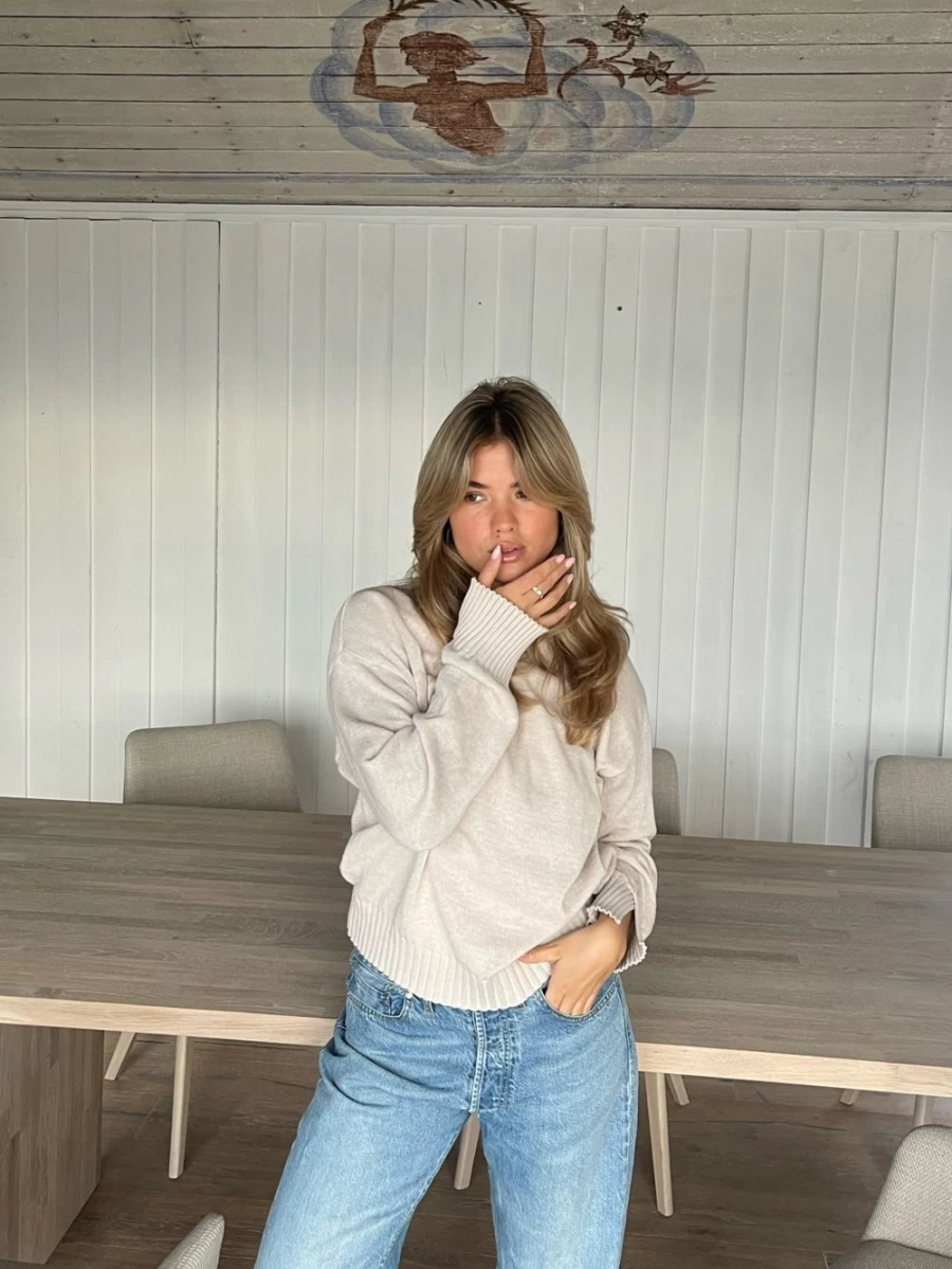 Sweaters Women | Crewneck Sweater Djerf Avenue